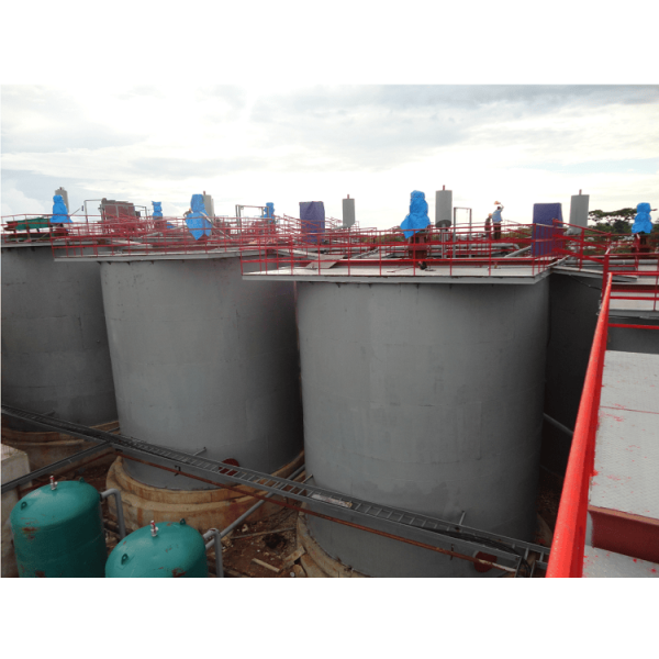 Processo CIP dell'oro